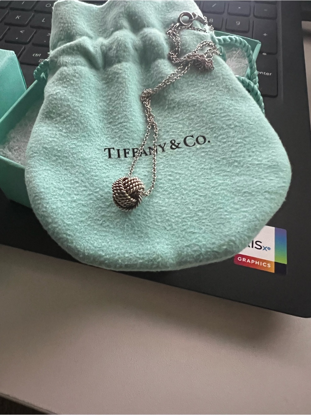 Tiffany & Co. Silver Rope Knot Necklace with Signature Blue Pouch
